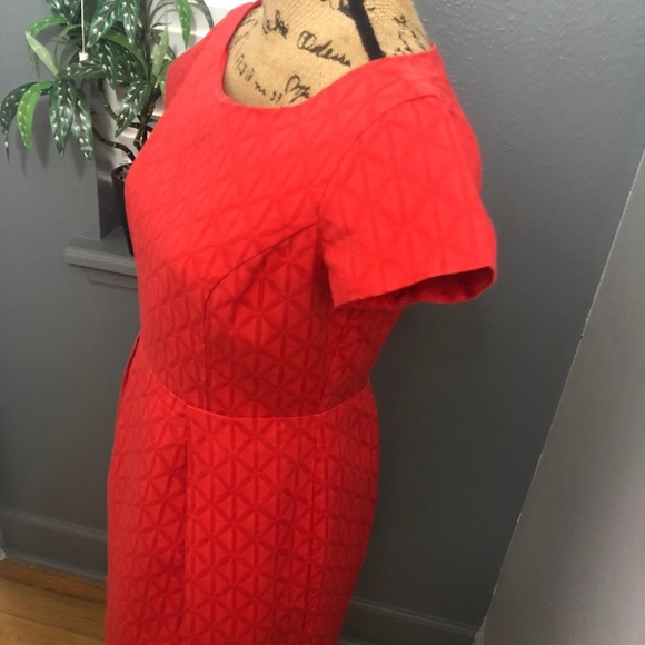 Just Taylor jacquard capped sleeve orange dress 💕 - Picture 3 of 6